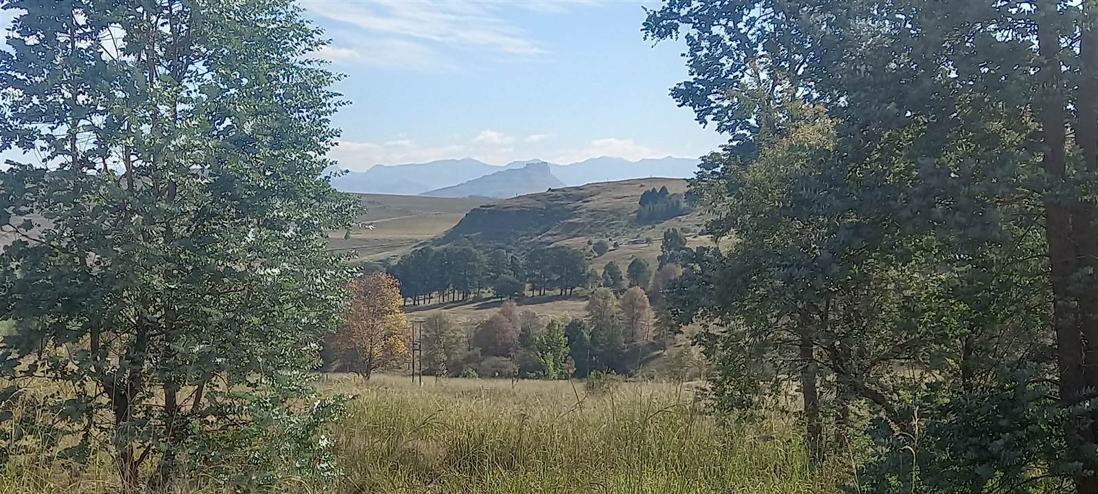 3224 m² Land available in Underberg photo number 3