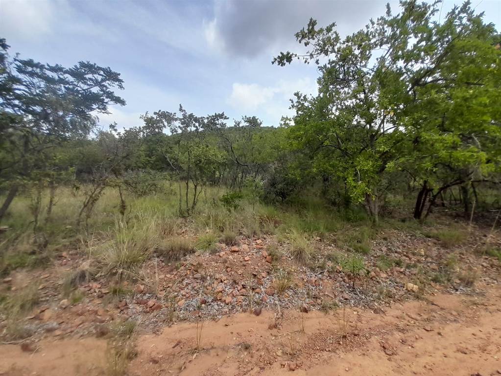 7200 m² Land available in Bela-Bela (Warmbaths) photo number 9