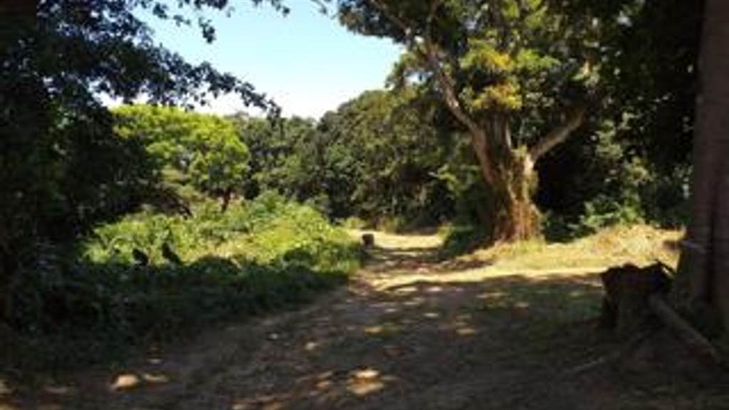 2.4 ha Land available in Umtentweni photo number 10