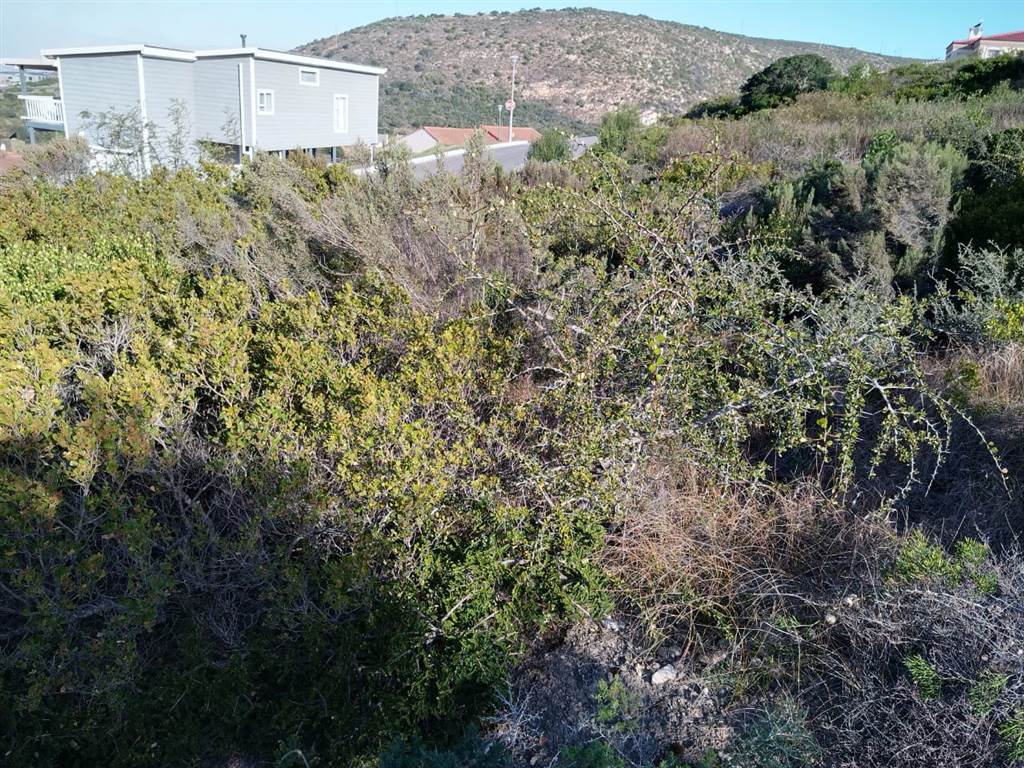 973 m² Land available in Island View photo number 3