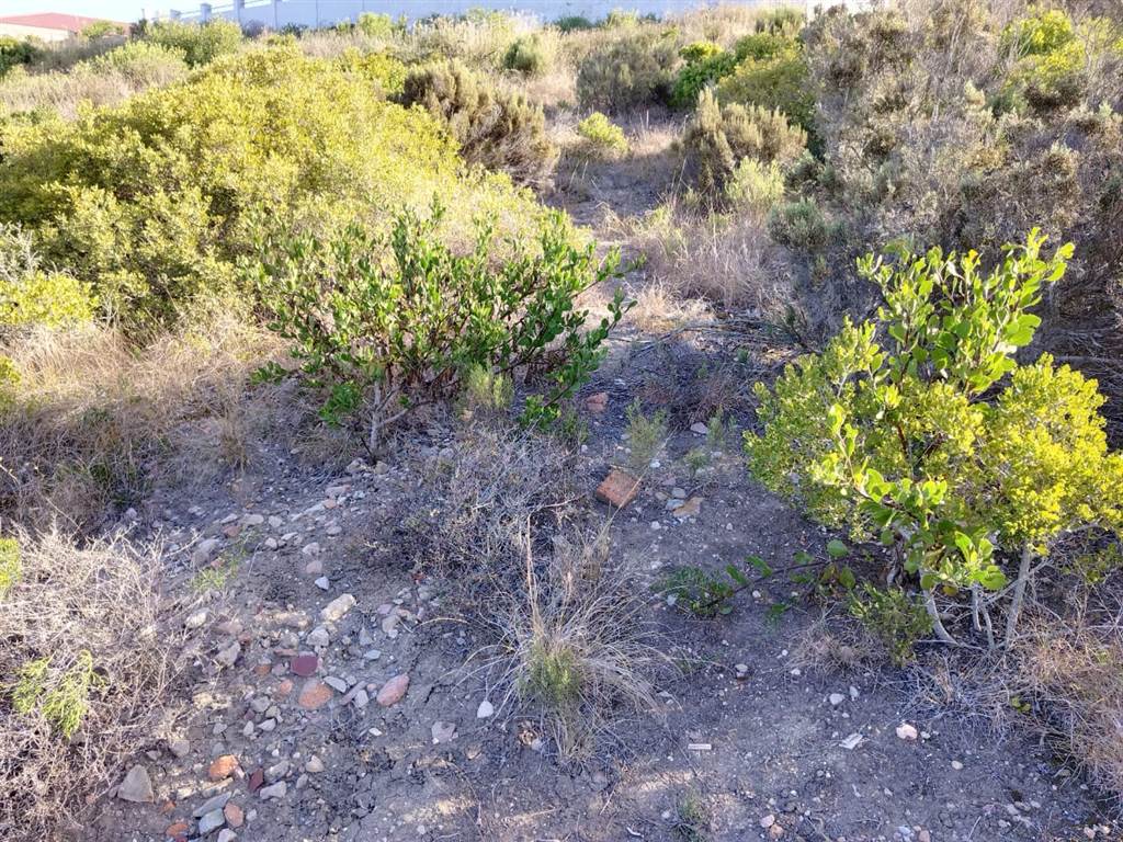 973 m² Land available in Island View photo number 5