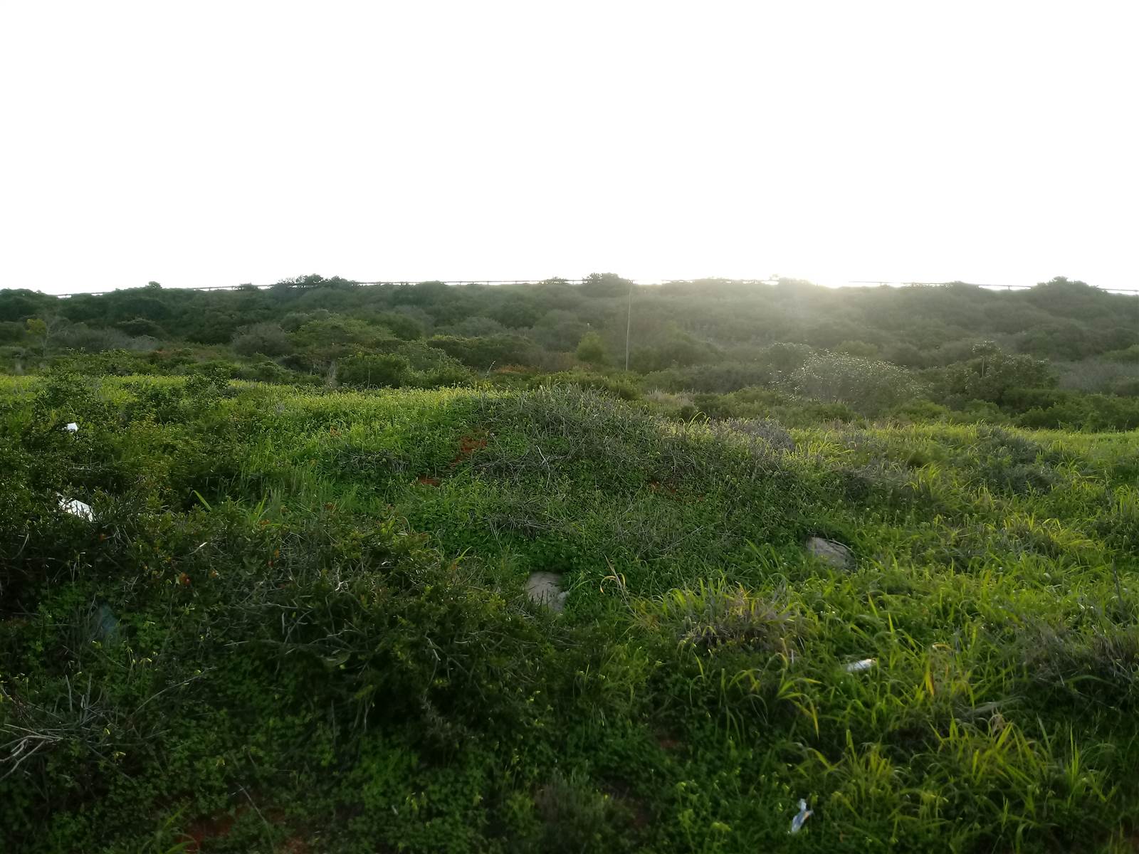 3895 m² Land available in Voorbaai photo number 1