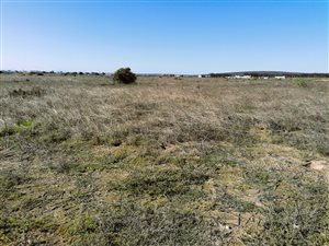 Vacant Land in Long Acres