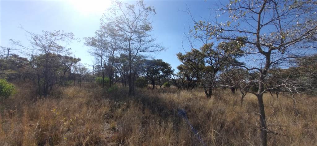 9 ha Land available in Cullinan and Surrounds photo number 5