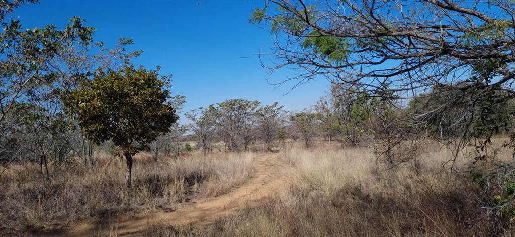 9 ha Land available in Cullinan and Surrounds photo number 7