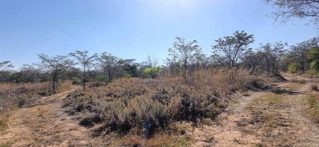 9 ha Land available in Cullinan and Surrounds photo number 3