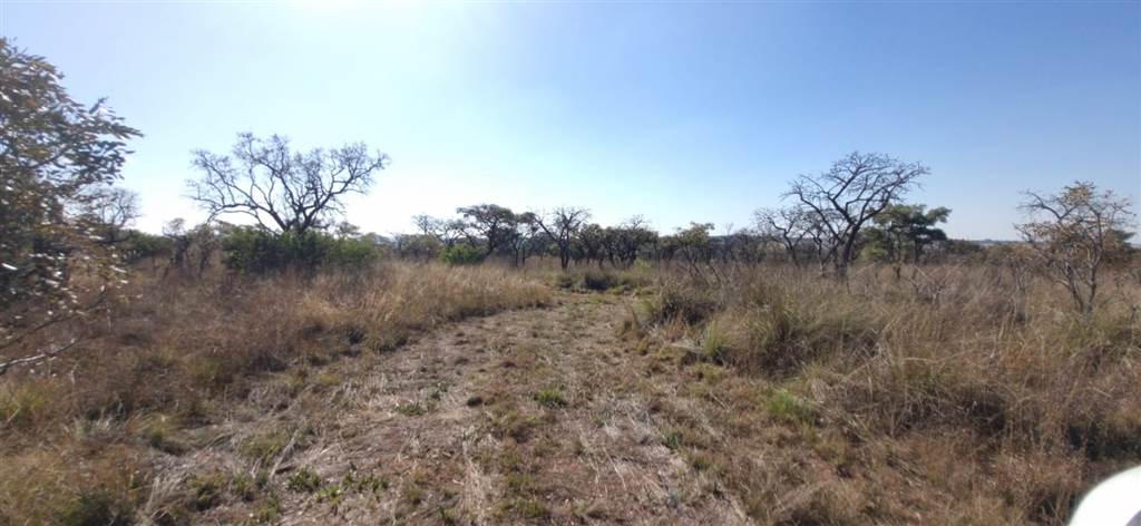 9 ha Land available in Cullinan and Surrounds photo number 1