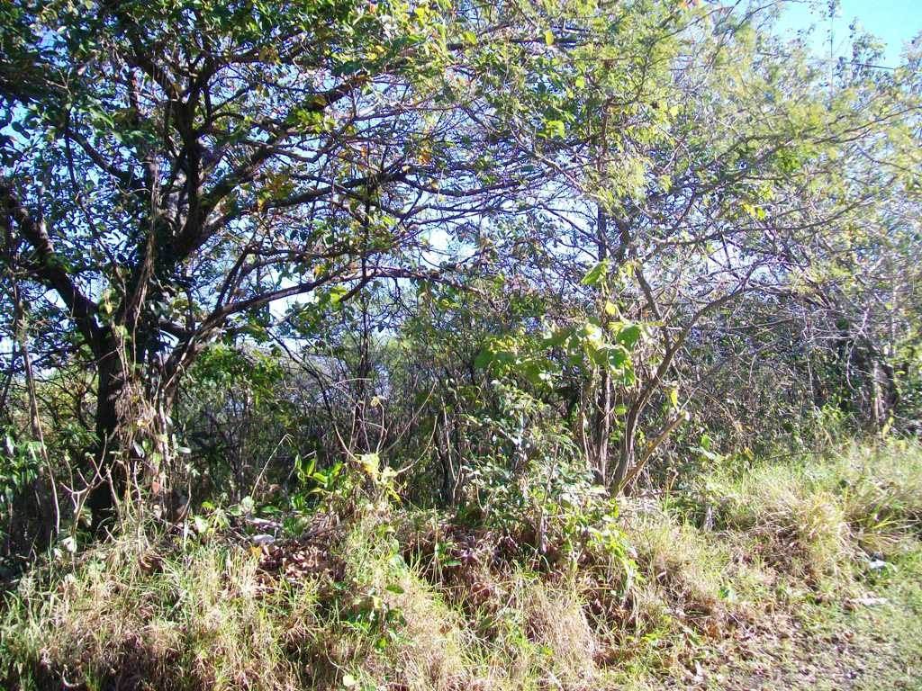 2168 m² Land available in Southbroom photo number 2