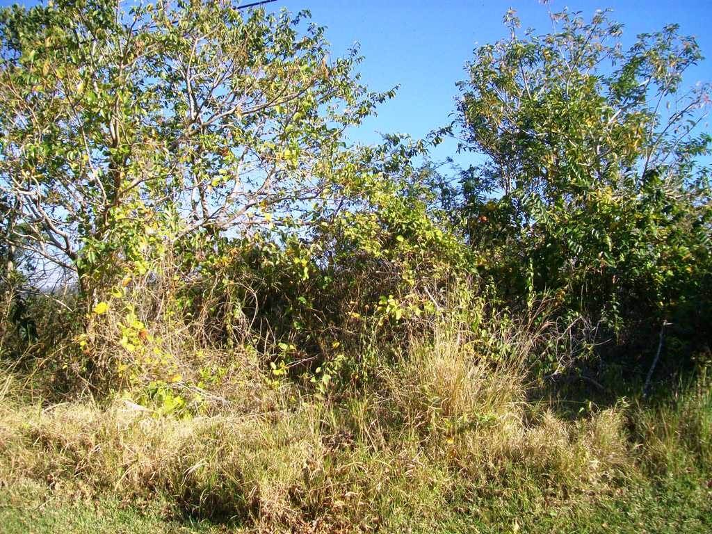 2168 m² Land available in Southbroom photo number 3