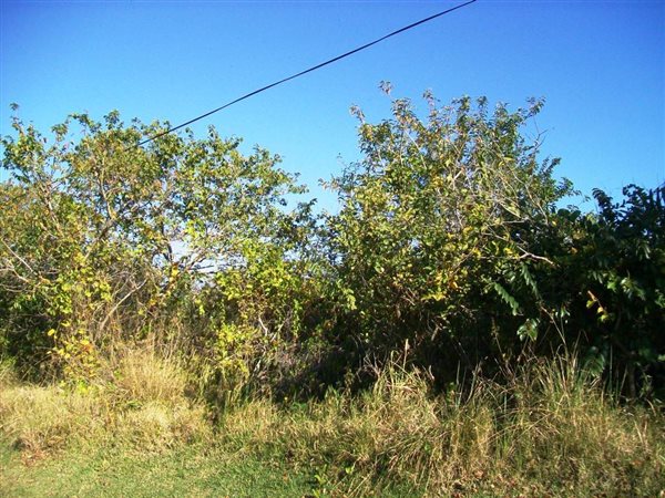 2168 m² Land available in Southbroom