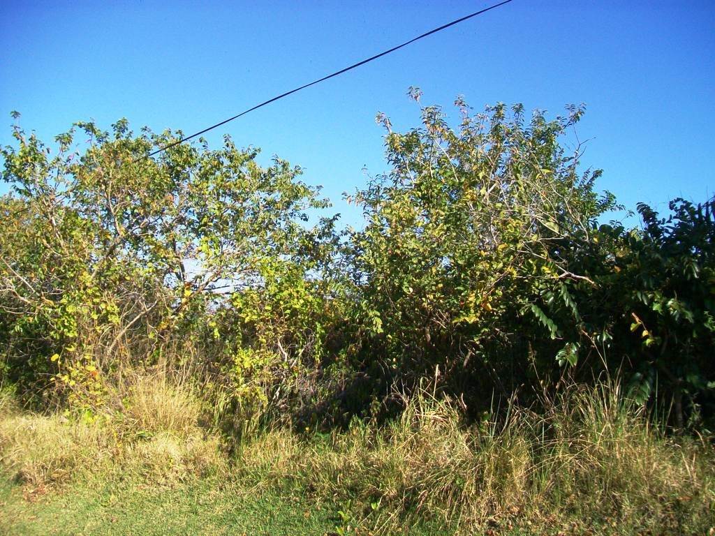 2168 m² Land available in Southbroom photo number 1