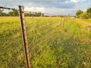 9.1 ha Land available in Grootvlei AH