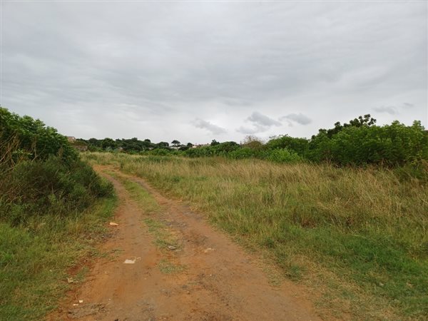 1.5 ha Land available in Parkgate