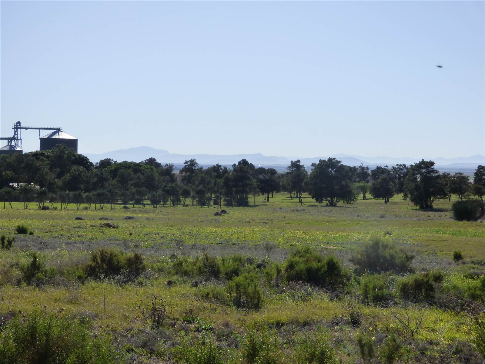 880 m² Land available in Darling photo number 7