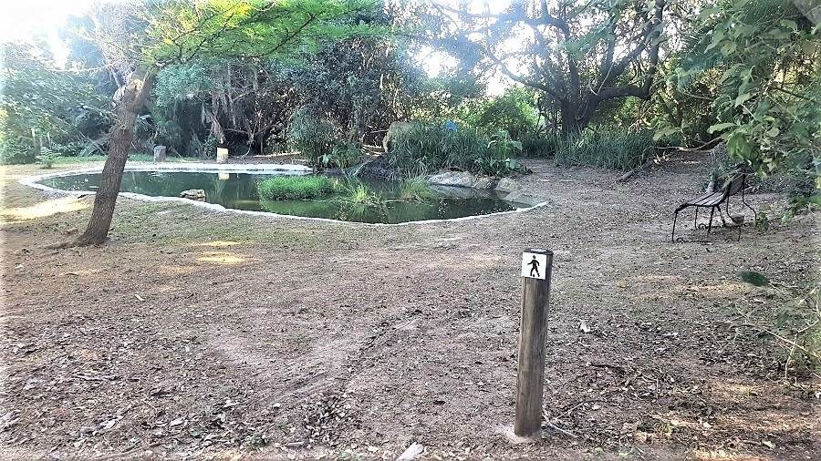 1378 m² Land available in Woodgrange photo number 14