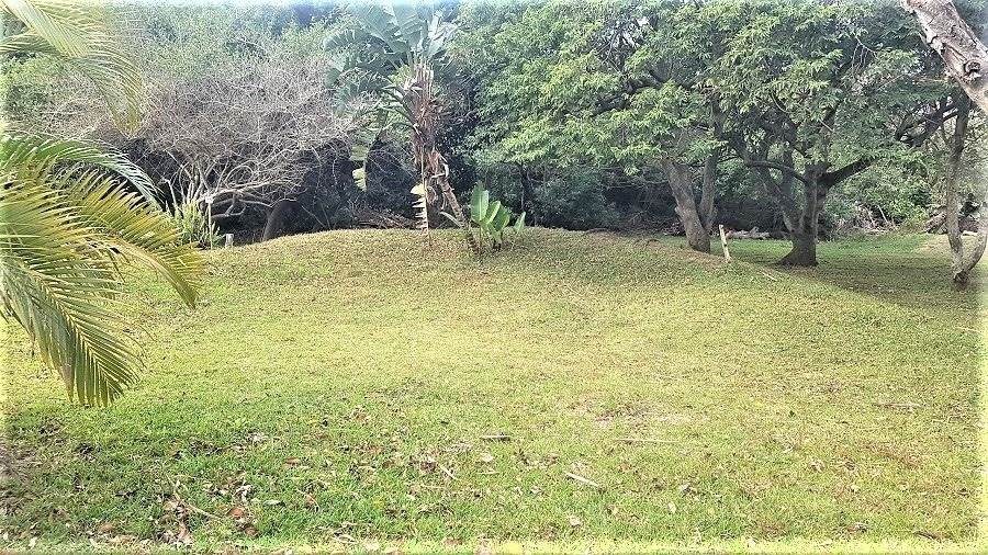 1378 m² Land available in Woodgrange photo number 8