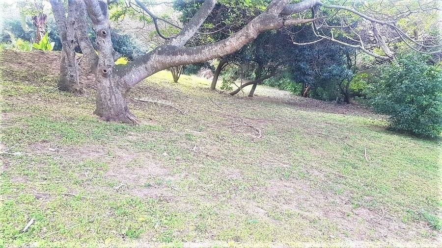 1378 m² Land available in Woodgrange photo number 6