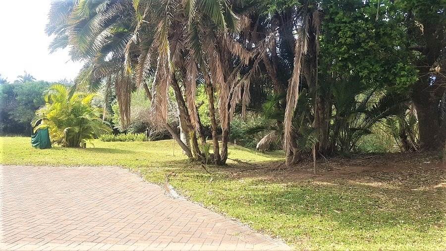 1378 m² Land available in Woodgrange photo number 4