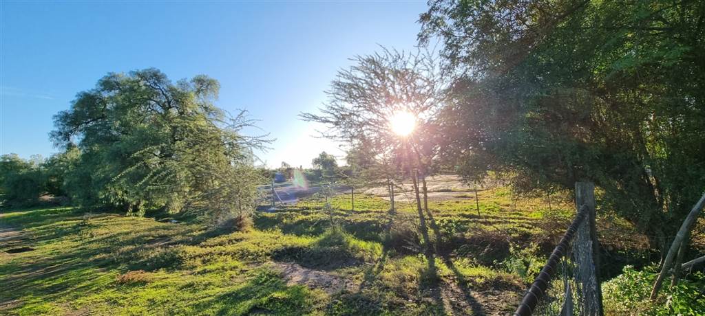 9706 m² Land available in Oudtshoorn photo number 3