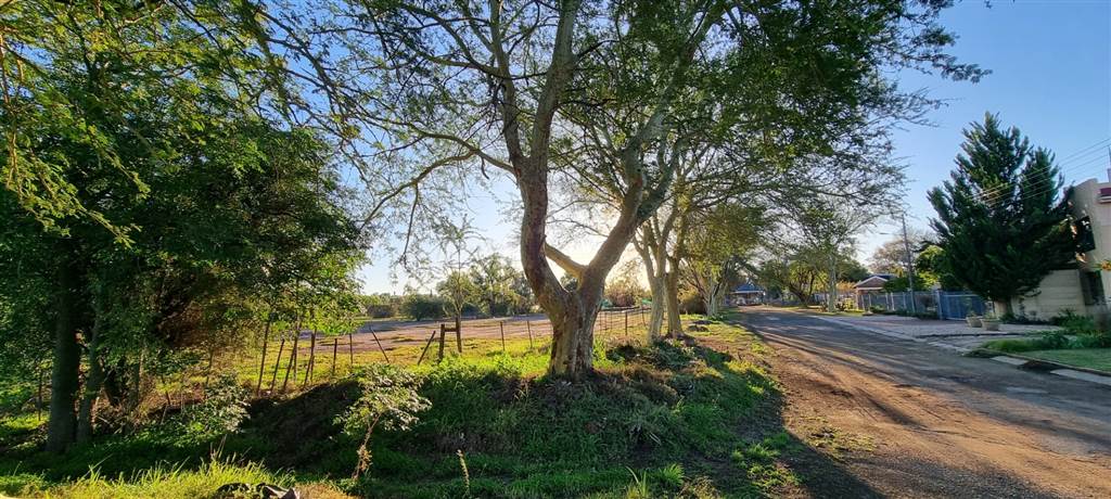 9706 m² Land available in Oudtshoorn photo number 4