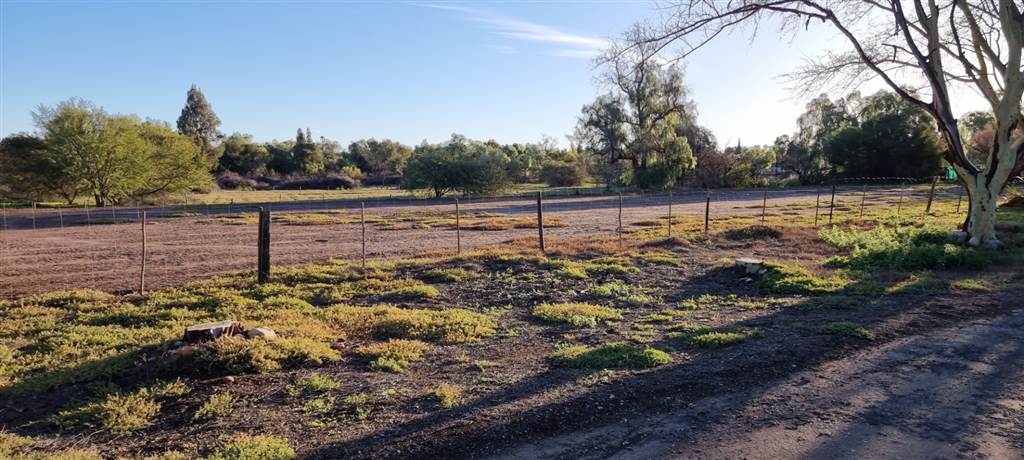 9706 m² Land available in Oudtshoorn photo number 8