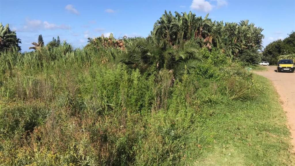 972 m² Land available in Port Edward photo number 6