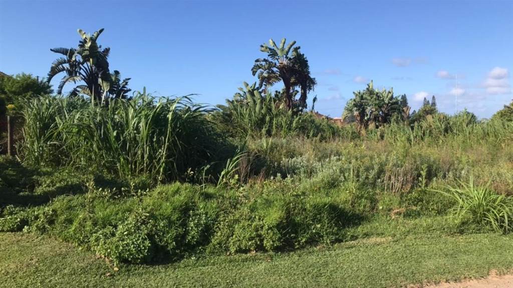 972 m² Land available in Port Edward photo number 9