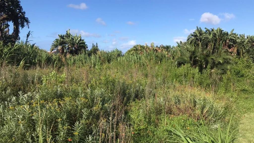 972 m² Land available in Port Edward photo number 5