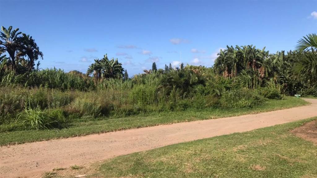 972 m² Land available in Port Edward photo number 11