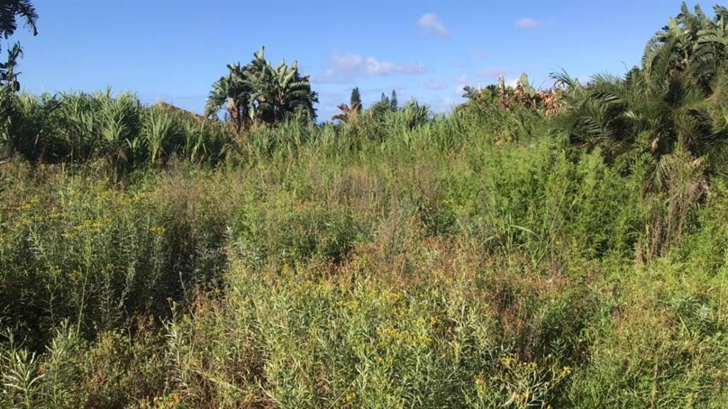 972 m² Land available in Port Edward photo number 3