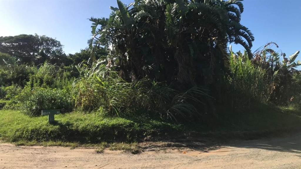 972 m² Land available in Port Edward photo number 12