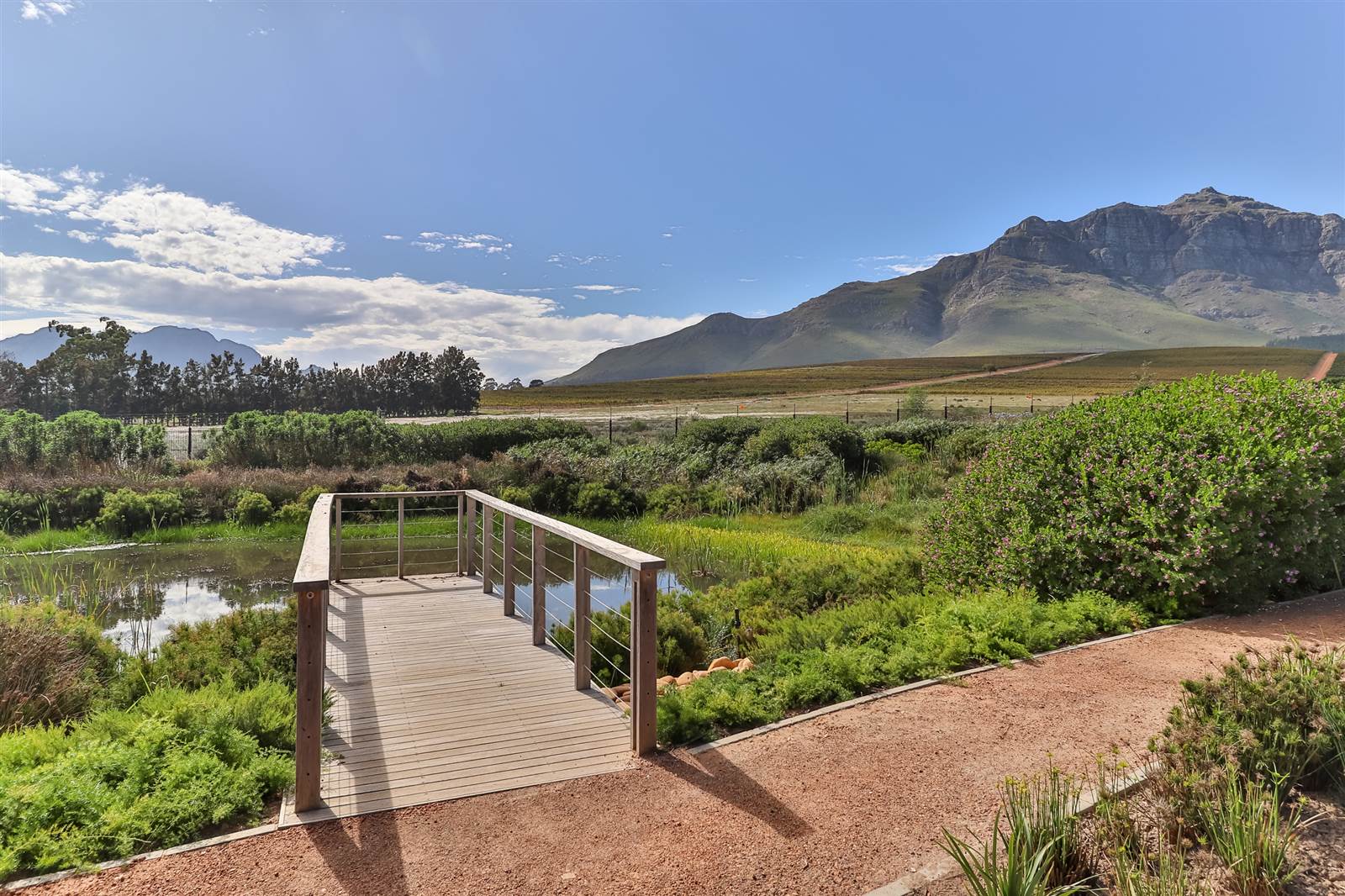 4 Bed House in Paradyskloof photo number 8