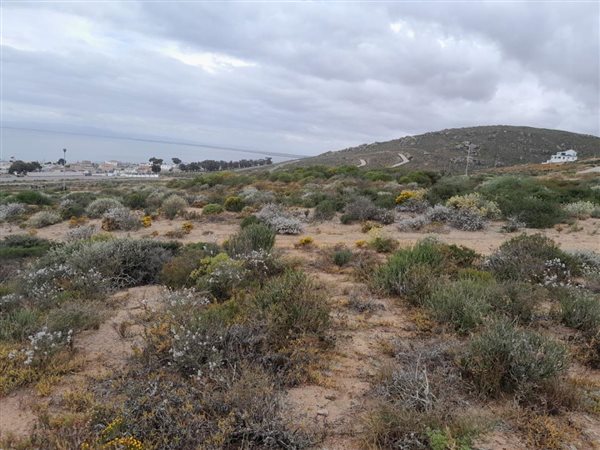 389 m² Land available in St Helena Views