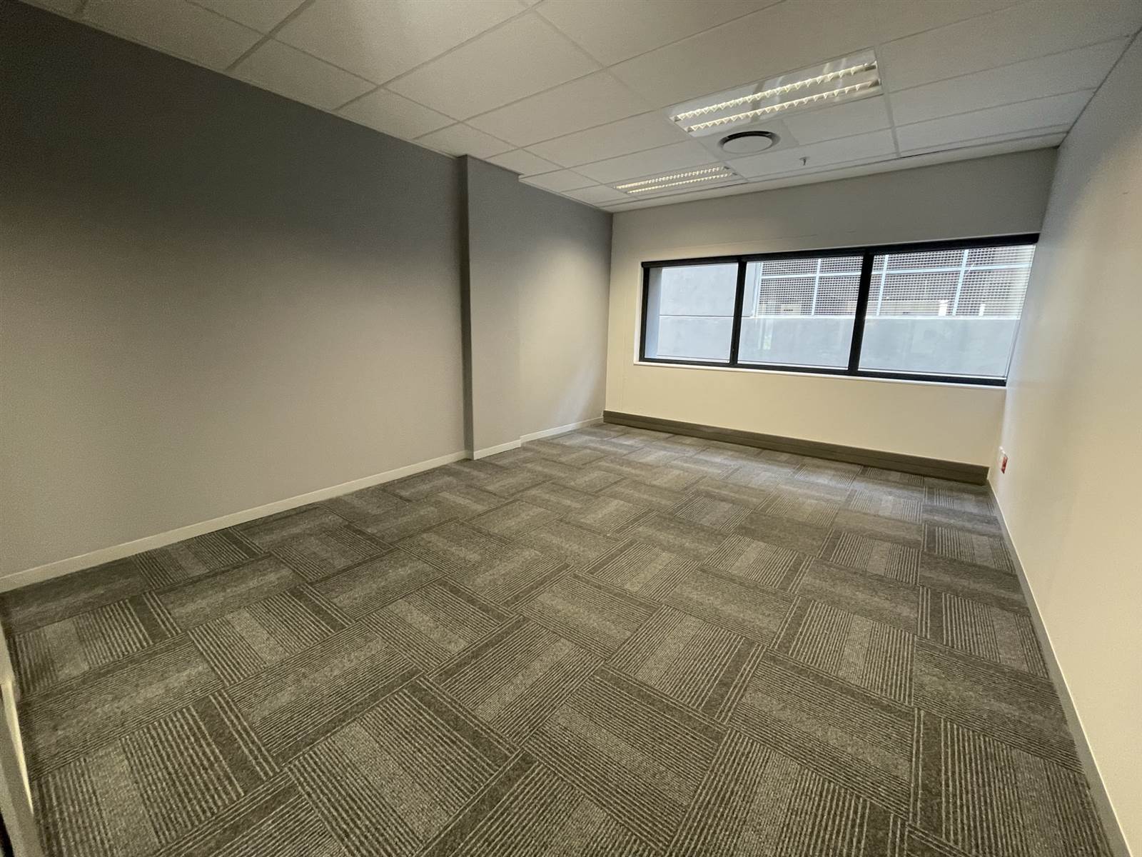 753  m² Commercial space in Rosebank photo number 15
