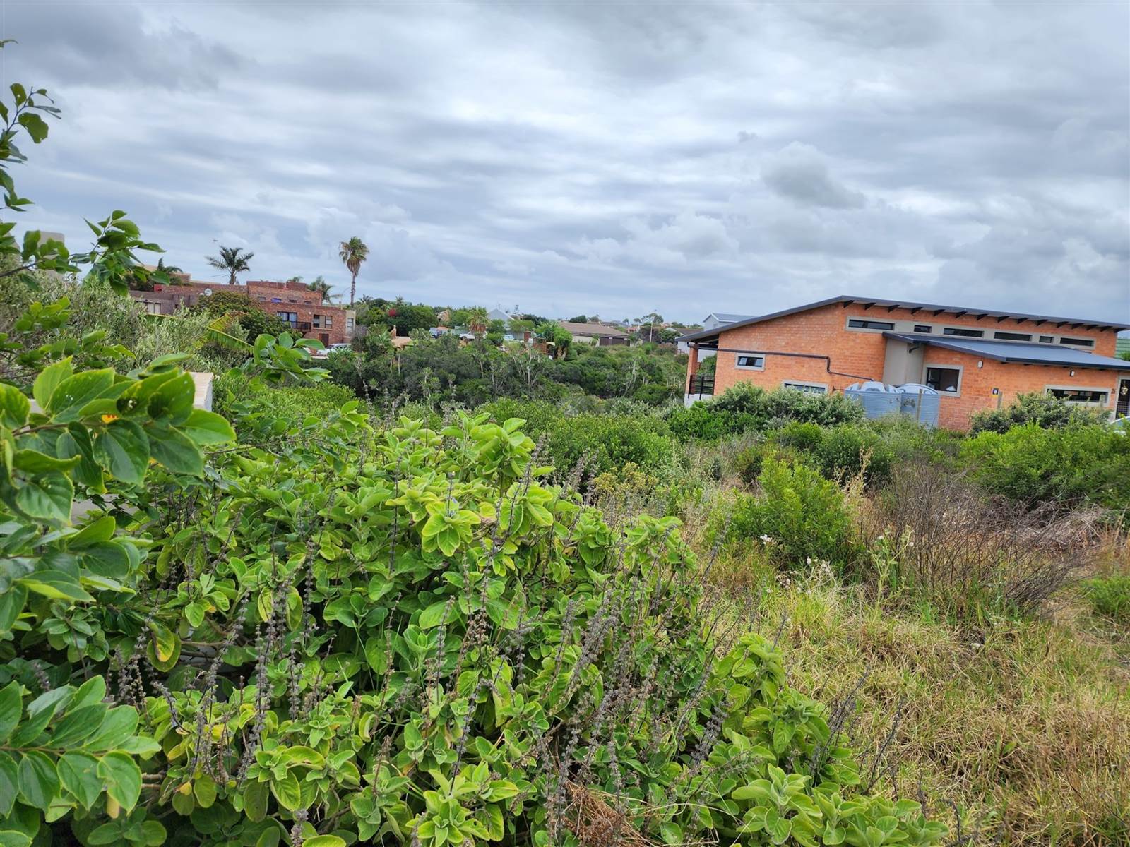 700 m² Land available in Wavecrest photo number 4