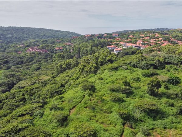 4.1 ha Land available in Ballito