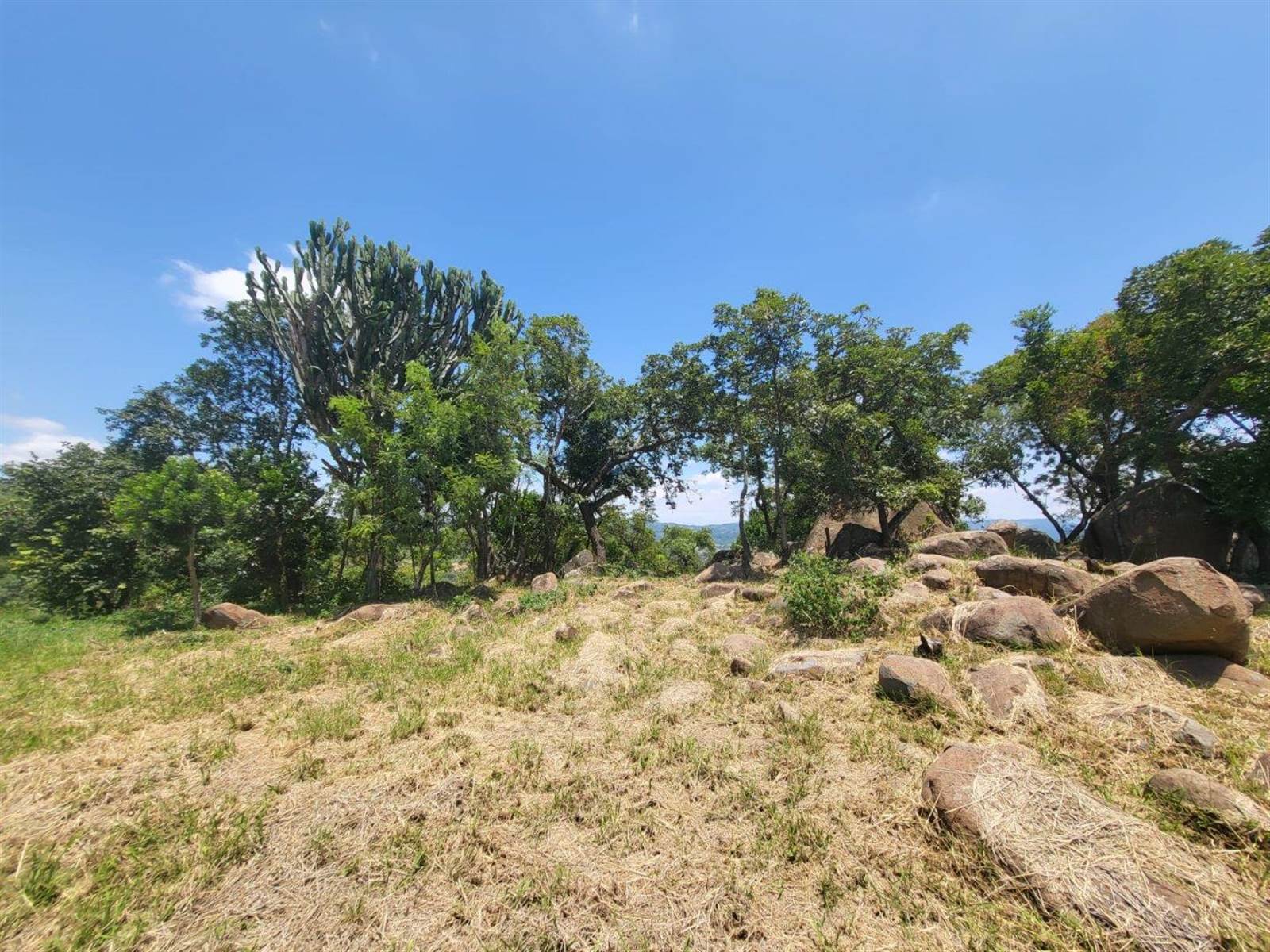 1473 m² Land available in The Rest Nature Estate photo number 15