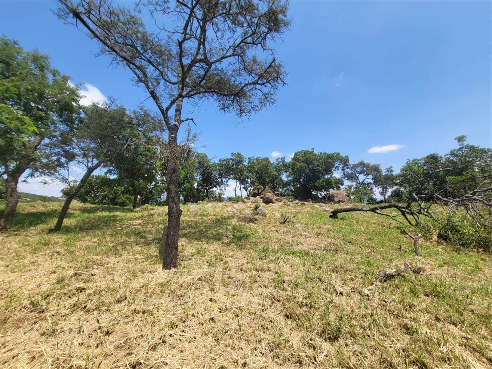 1473 m² Land available in The Rest Nature Estate photo number 11