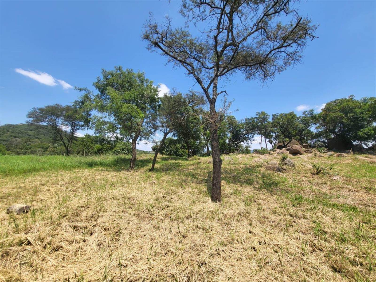 1473 m² Land available in The Rest Nature Estate photo number 9