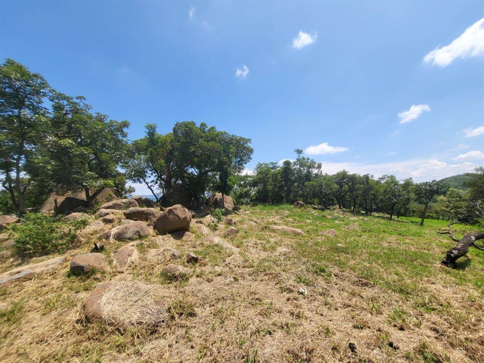 1473 m² Land available in The Rest Nature Estate photo number 17