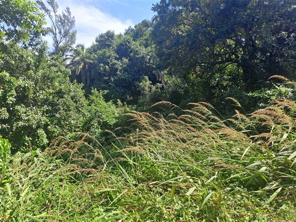 1 165 m² Land 1 165 m² Land