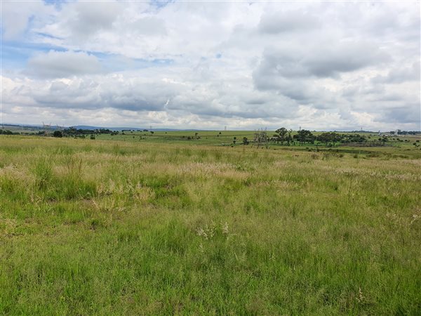 8.6 ha Land available in Knopjeslaagte