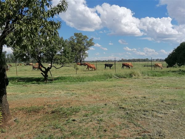 68 ha Farm 68 ha Farm