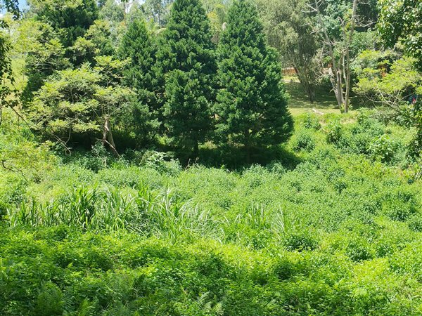 6 000 m² Land