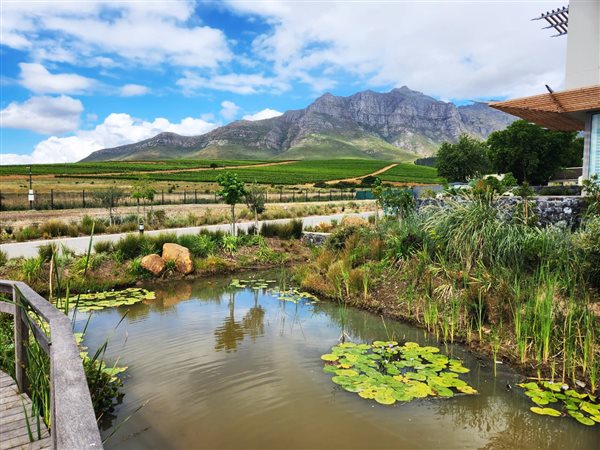 560 m² Land available in Paradyskloof