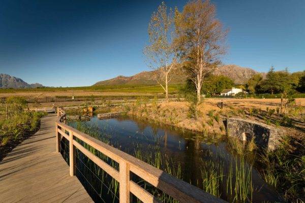560 m² Land available in Paradyskloof photo number 11