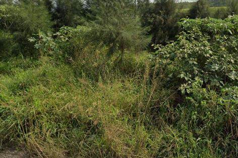 347 m² Land available in Felixton photo number 1