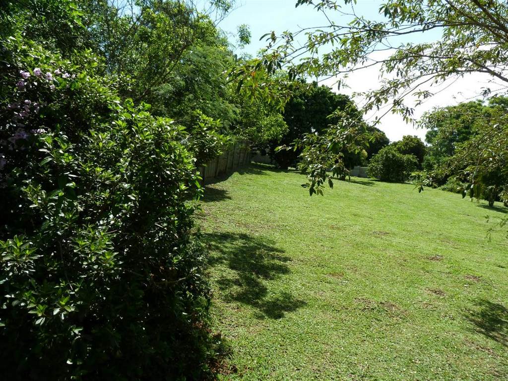 1804 m² Land available in Forest Hills photo number 2