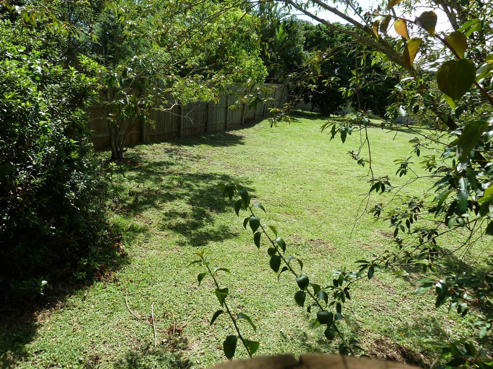 1804 m² Land available in Forest Hills photo number 4