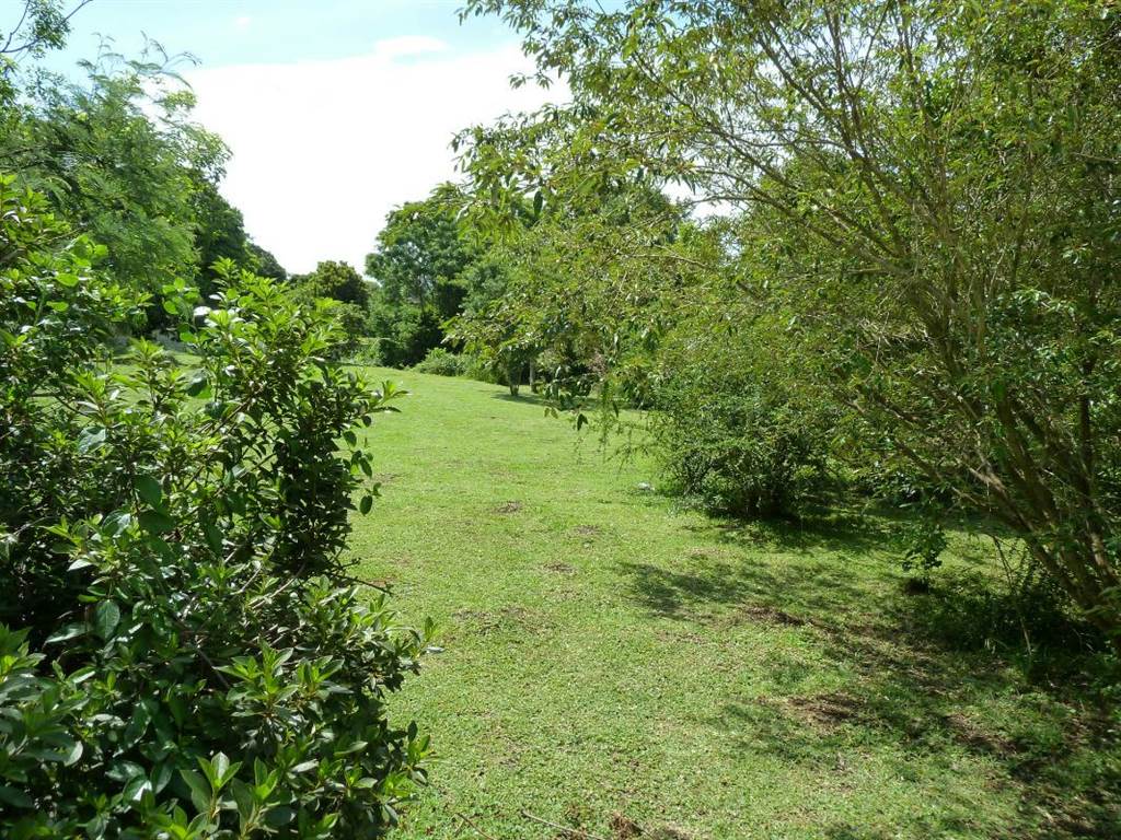 1804 m² Land available in Forest Hills photo number 3